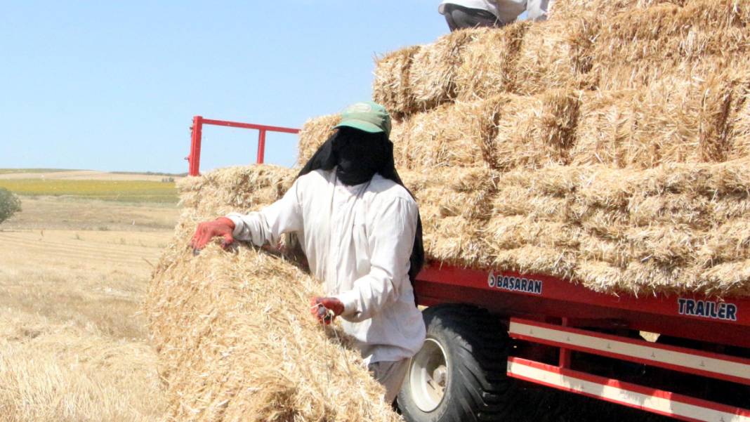 Kavurucu sıcakta 'balya' mesaisi 7